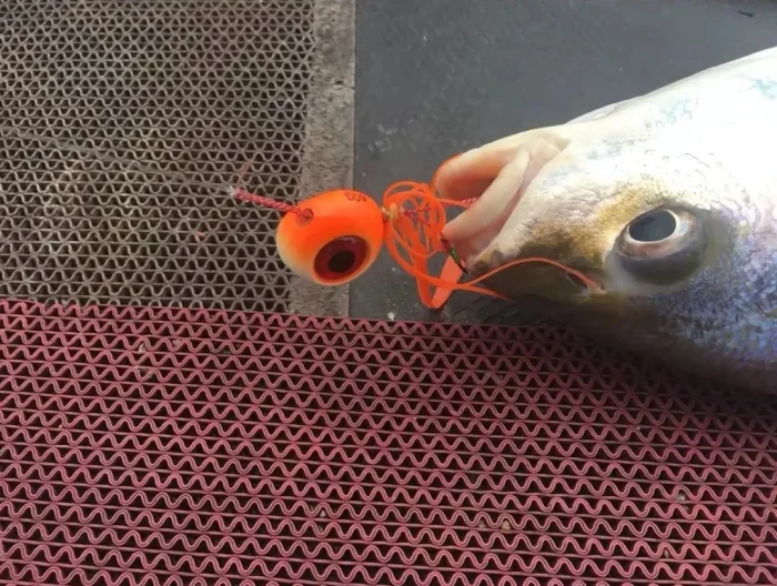 Melek Gözü Kurşun Yeni Nesil Kulpsuz 200 Gr - Görsel 4