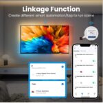 AVATTO Tuya 2CH Zigbee Anahtar 2 Kanal Zigbee röle - Görsel 3