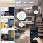 Tuya Zigbee Akıllı Dimmer Anahtar Modülü 16A - Görsel 4